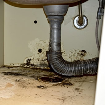 Mould beneath sink, showing plumbing issues.