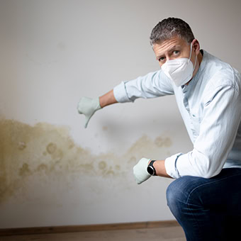 Man inspecting mold on wall in gloves, mask