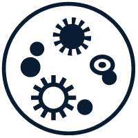 Damp and mould icon