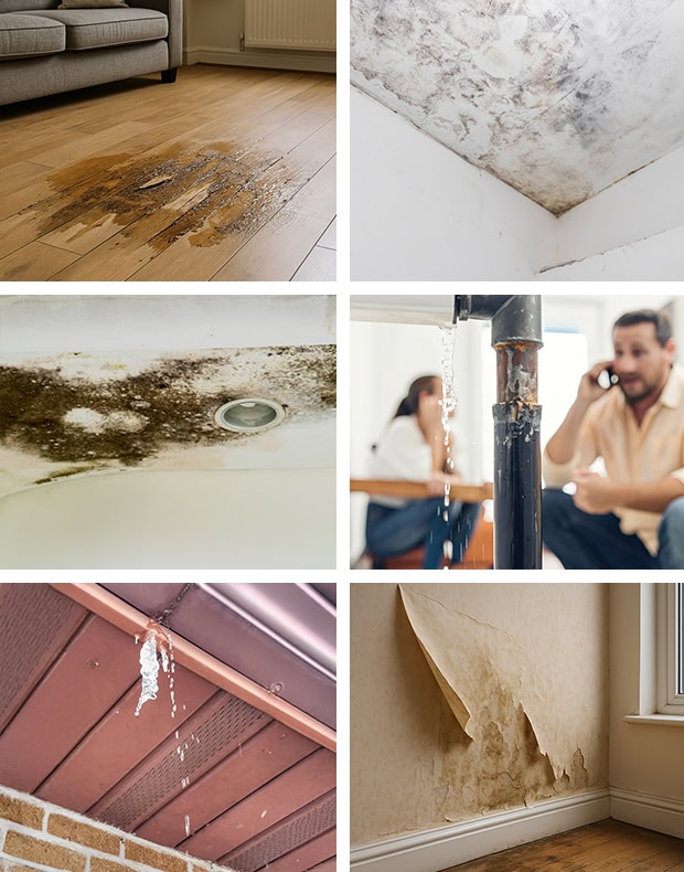 Water damage repair and mould issues in home.